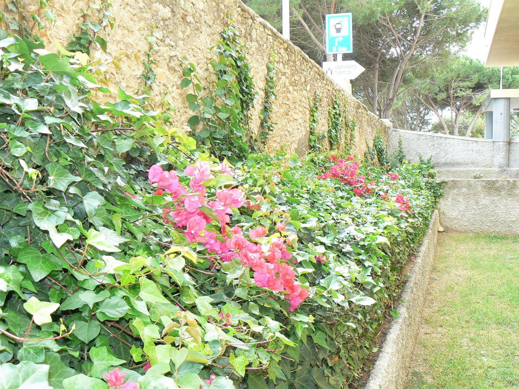 Apartamentos Turisticos Canos De Meca Los Canos De Meca Exterior foto